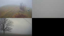 Sdružený snímek Bludný