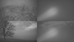 Sdružený snímek Bludný