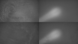 Sdružený snímek Bludný