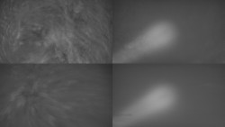 Sdružený snímek Bludný