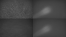 Sdružený snímek Bludný