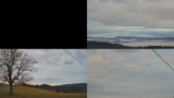 Sdružený snímek Bludný