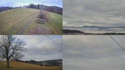 Sdružený snímek Bludný