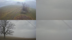 Sdružený snímek Bludný