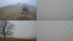 Sdružený snímek Bludný