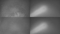 Sdružený snímek Bludný