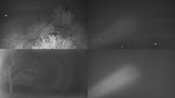 Sdružený snímek Bludný