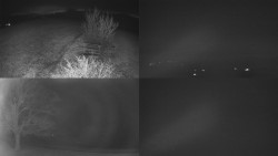 Sdružený snímek Bludný