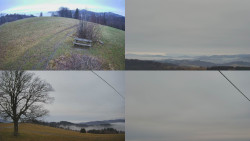 Sdružený snímek Bludný