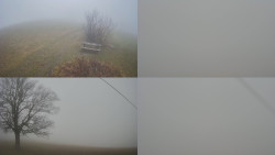 Sdružený snímek Bludný