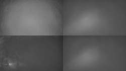 Sdružený snímek Bludný