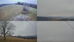 Sdružený snímek Bludný