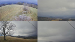 Sdružený snímek Bludný