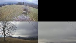 Sdružený snímek Bludný