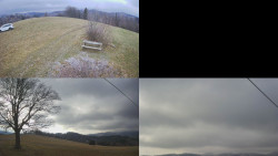 Sdružený snímek Bludný