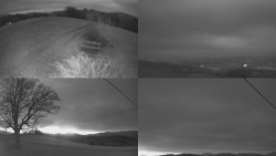 Sdružený snímek Bludný