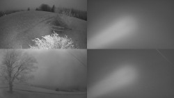 Sdružený snímek Bludný