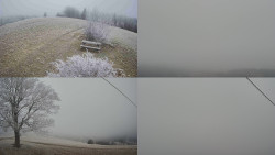 Sdružený snímek Bludný