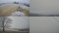 Sdružený snímek Bludný