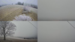 Sdružený snímek Bludný