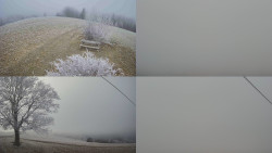 Sdružený snímek Bludný