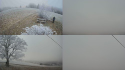 Sdružený snímek Bludný