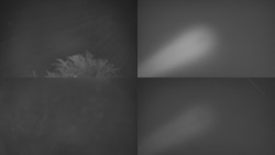 Sdružený snímek Bludný