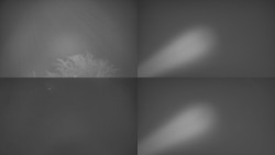 Sdružený snímek Bludný