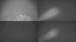 Sdružený snímek Bludný