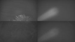 Sdružený snímek Bludný