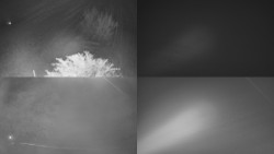 Sdružený snímek Bludný