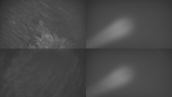 Sdružený snímek Bludný