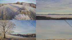 Sdružený snímek Bludný