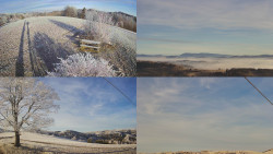 Sdružený snímek Bludný