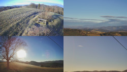 Sdružený snímek Bludný