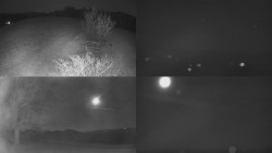 Sdružený snímek Bludný