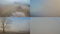 Sdružený snímek Bludný