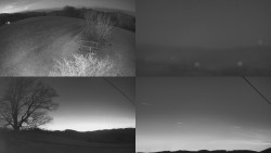 Sdružený snímek Bludný