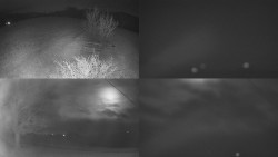 Sdružený snímek Bludný