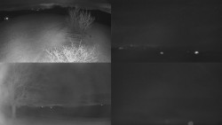 Sdružený snímek Bludný