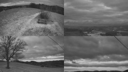 Sdružený snímek Bludný