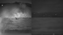 Sdružený snímek Bludný