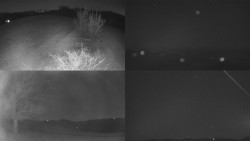 Sdružený snímek Bludný