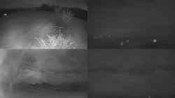 Sdružený snímek Bludný