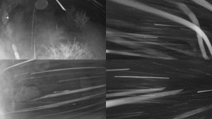 Bludný - Rajnochovice Troják - Sdružený snímek Bludný - 30.12.2025 v 02:01