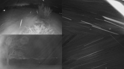 Sdružený snímek Bludný