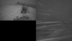 Sdružený snímek Bludný