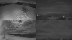 Sdružený snímek Bludný