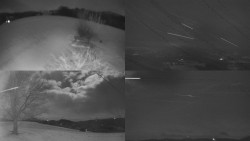 Sdružený snímek Bludný