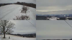 Sdružený snímek Bludný